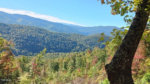 Land Near Lake Watauga