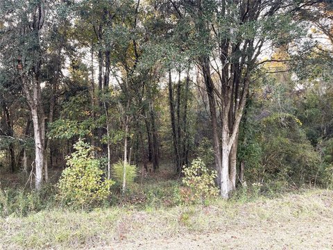 Gated Equestrian Community Land