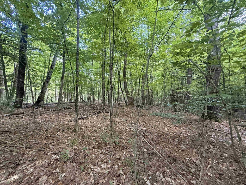 Picture 12