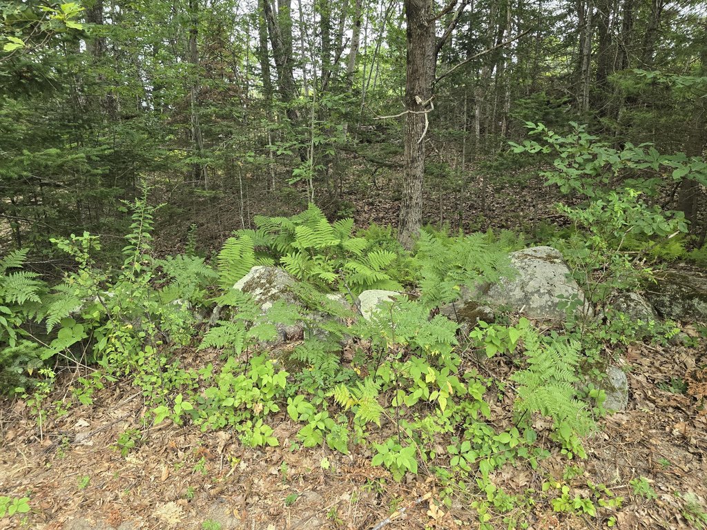 Picture 5