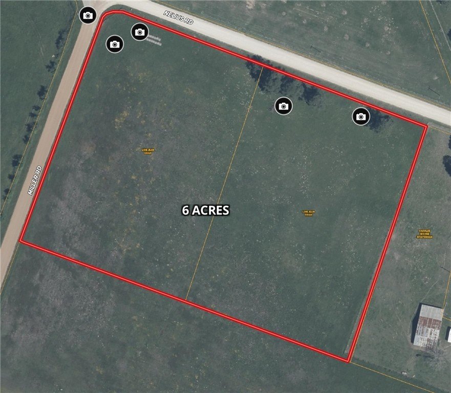 Picture 3