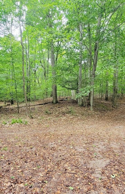 Picture 17