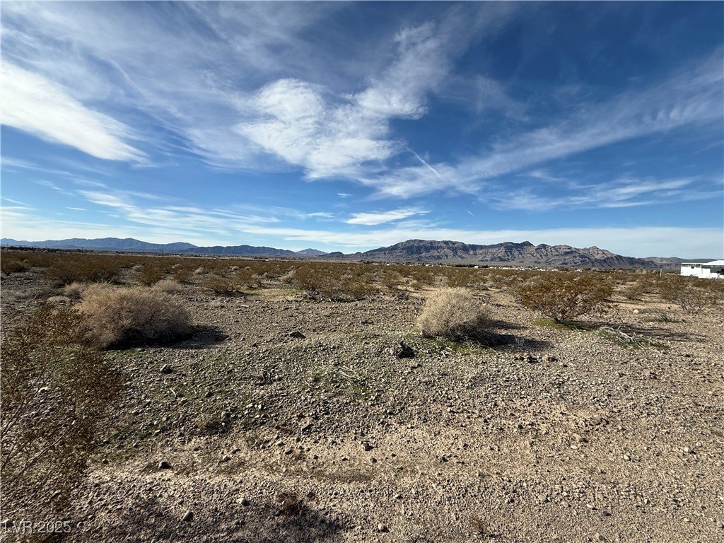 Picture 3