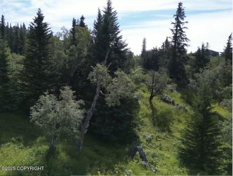Anchorage Homesite with Mountain Views