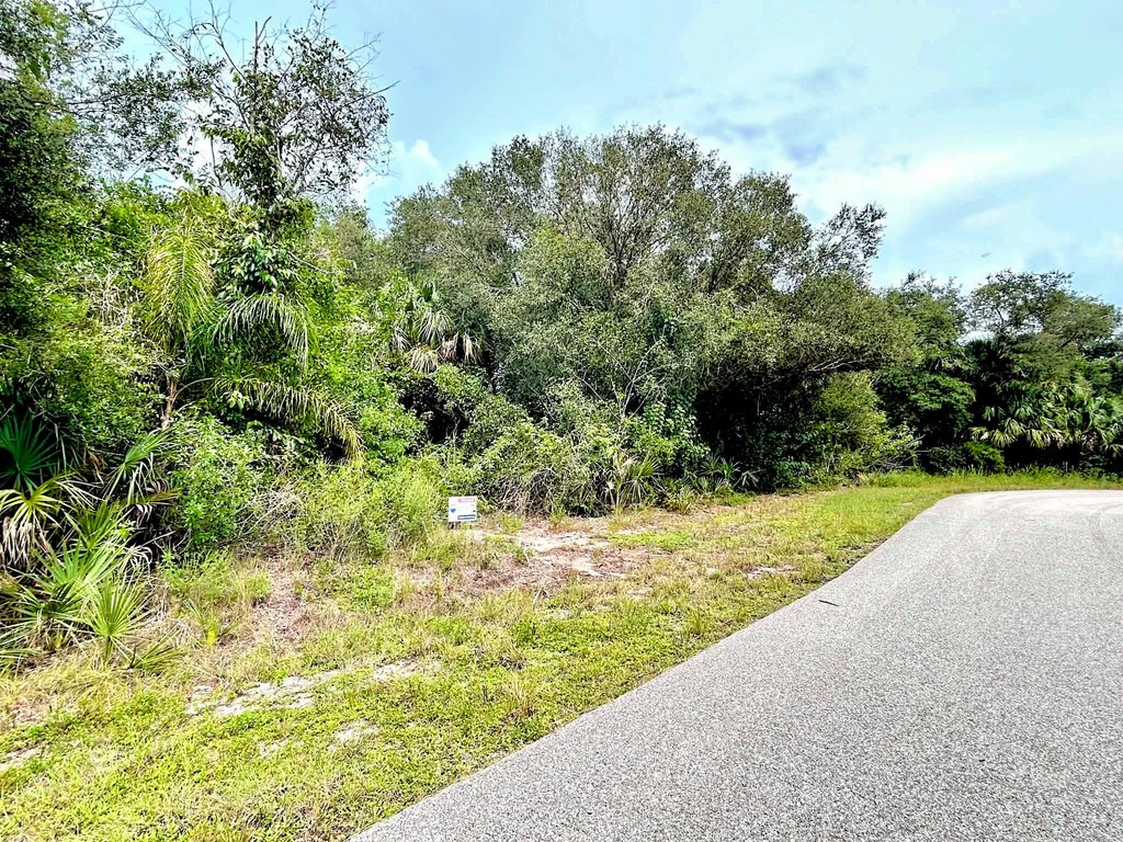 Picture 5