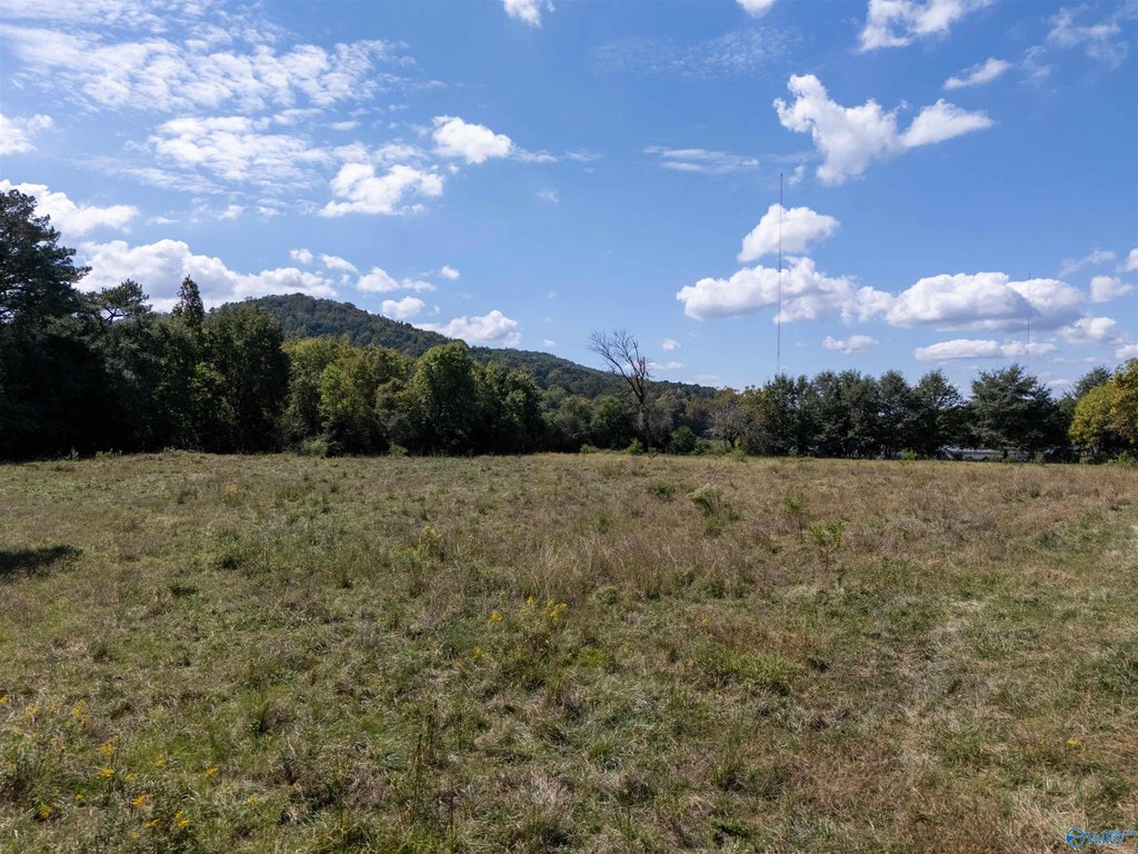 Picture 25