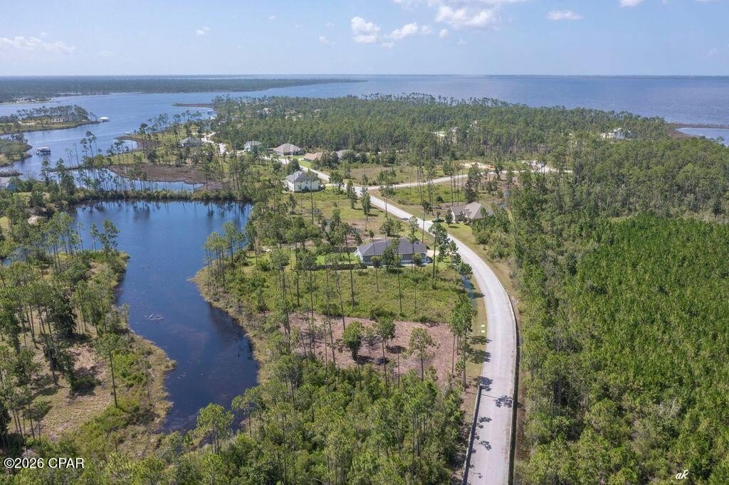 Picture 6