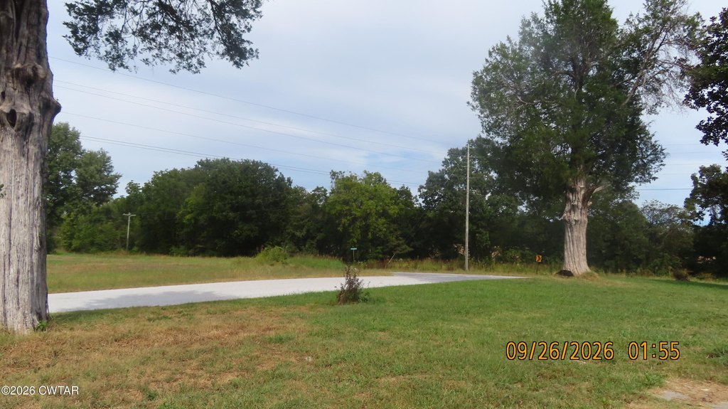 Picture 11