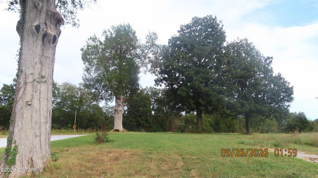 Picture 21