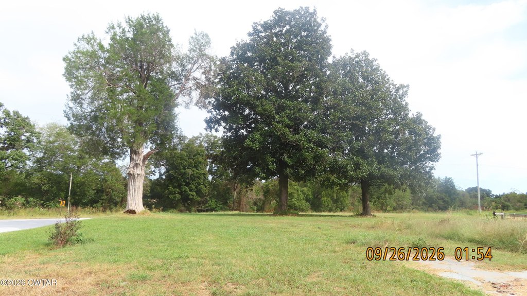 Picture 5