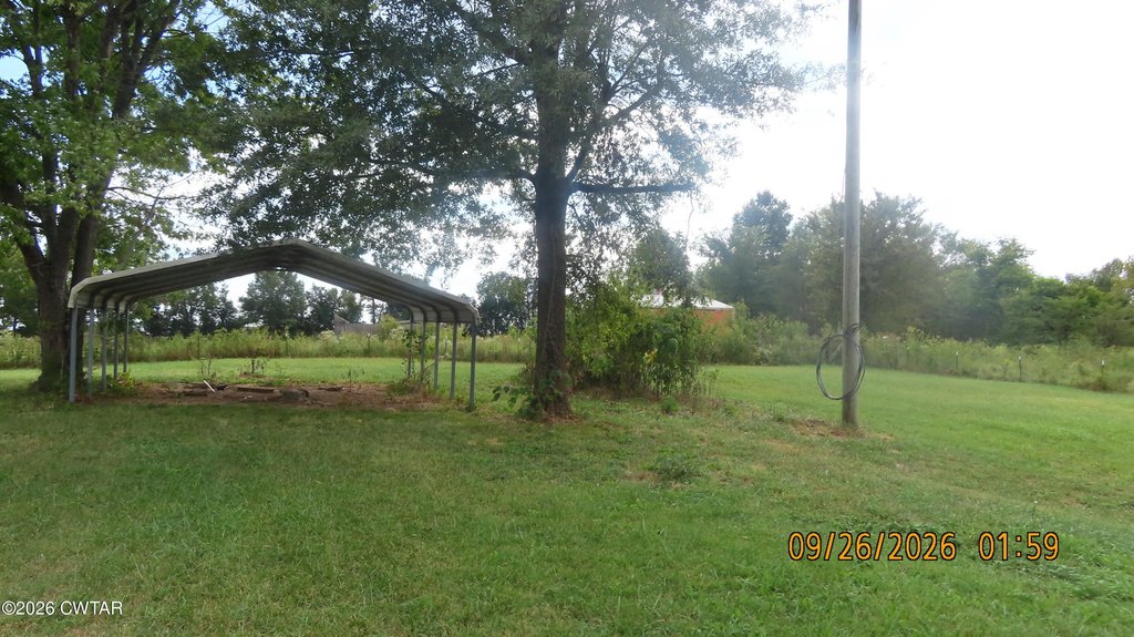 Picture 15