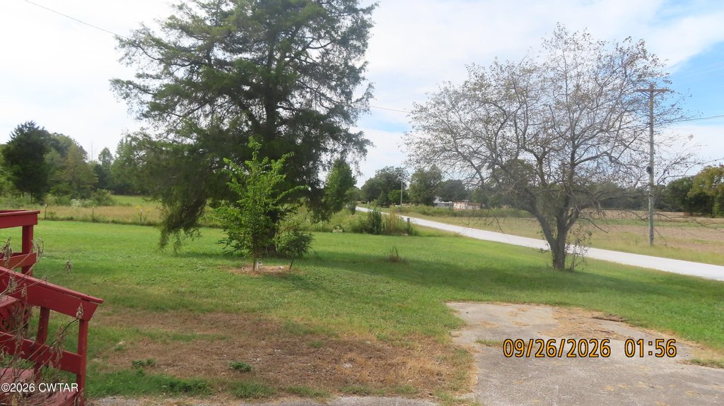 Picture 19