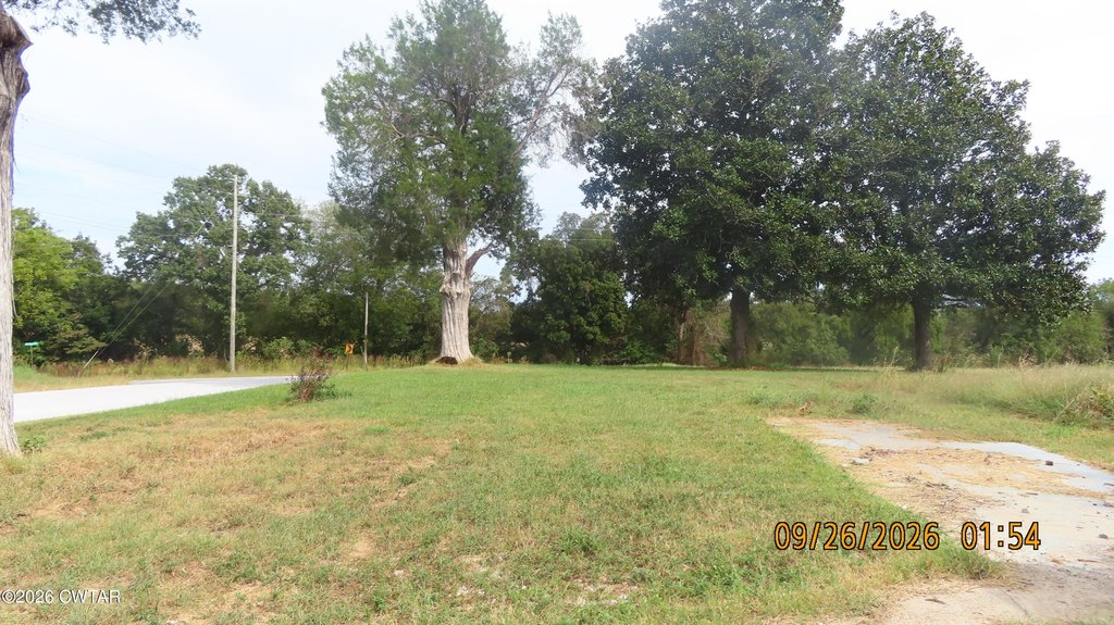 Picture 8