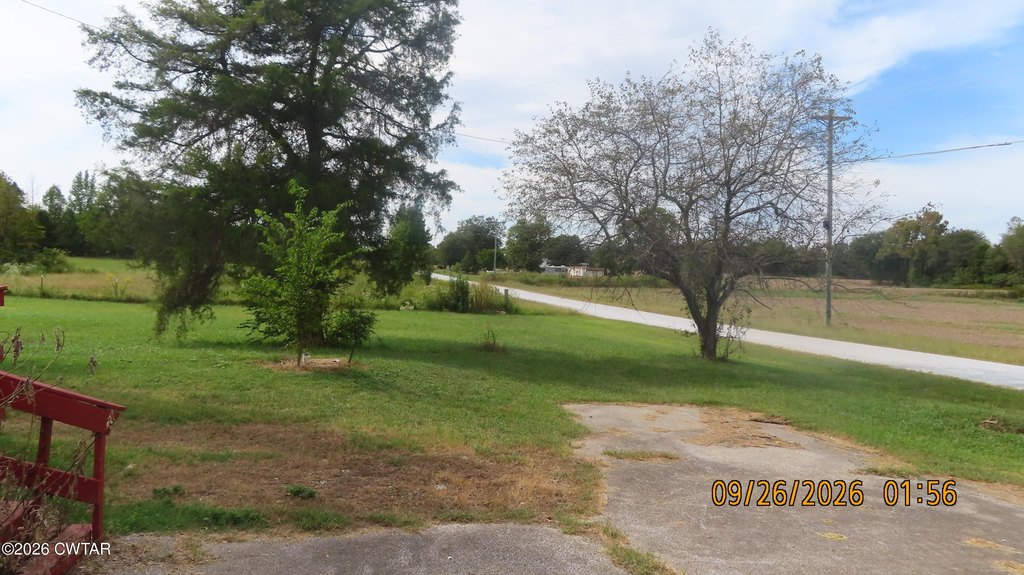 Picture 17