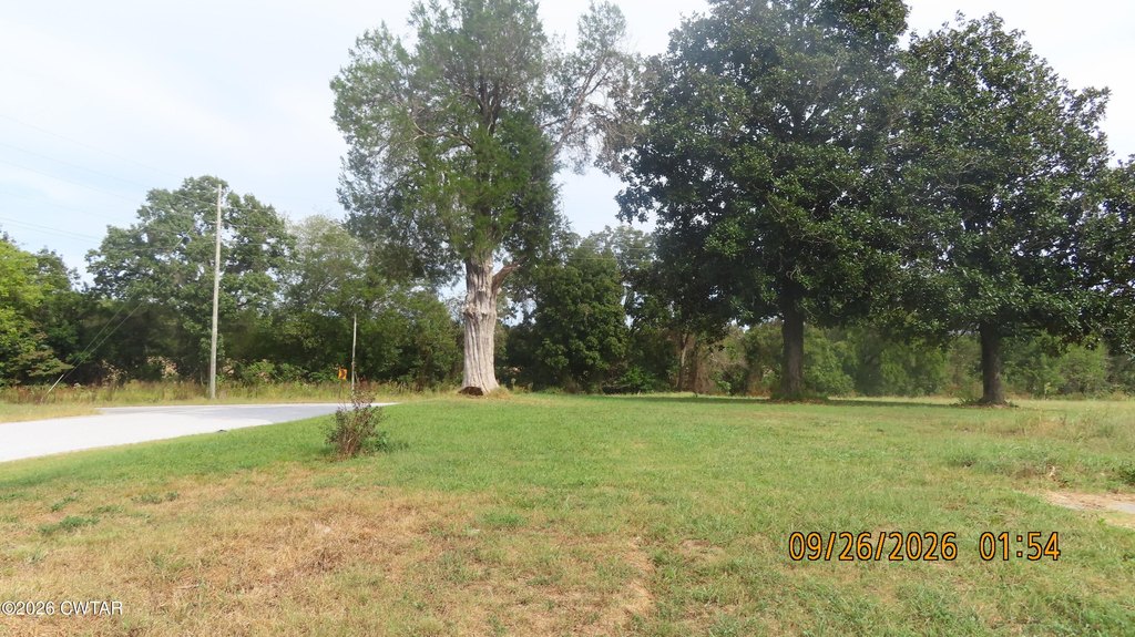Picture 6