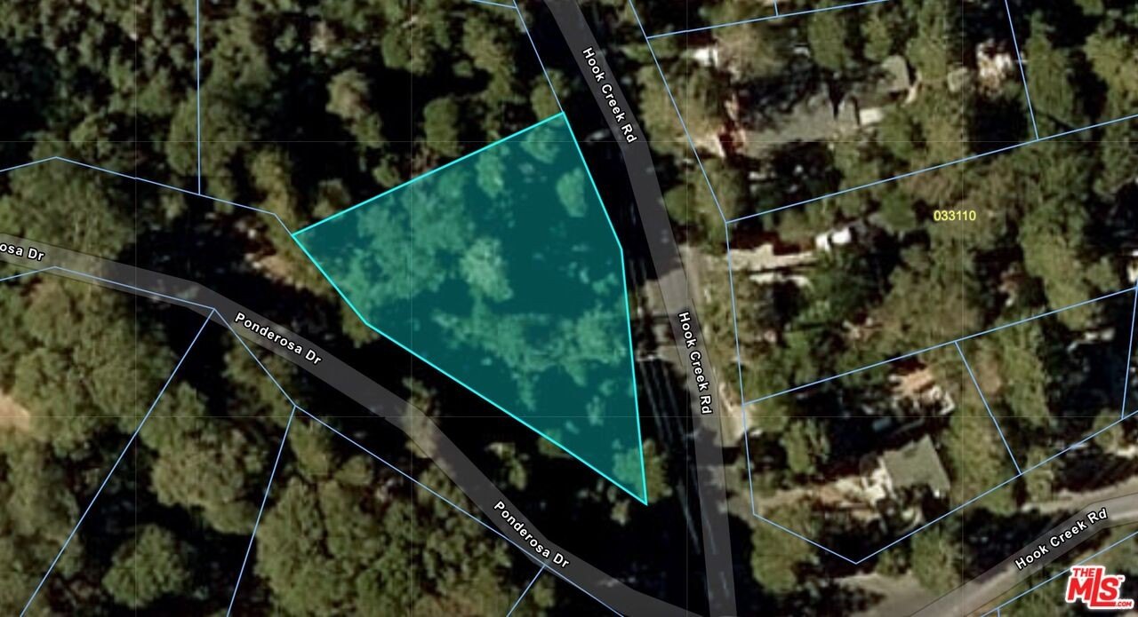 Land in Cedar Glen, CA