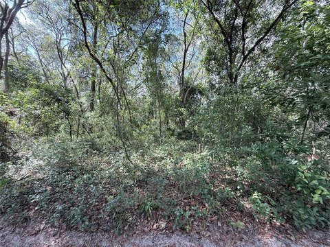 Residential Acreage in Non-Flood Zone