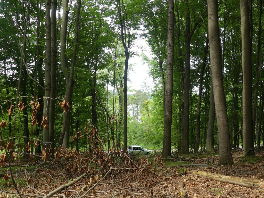 Picture 2