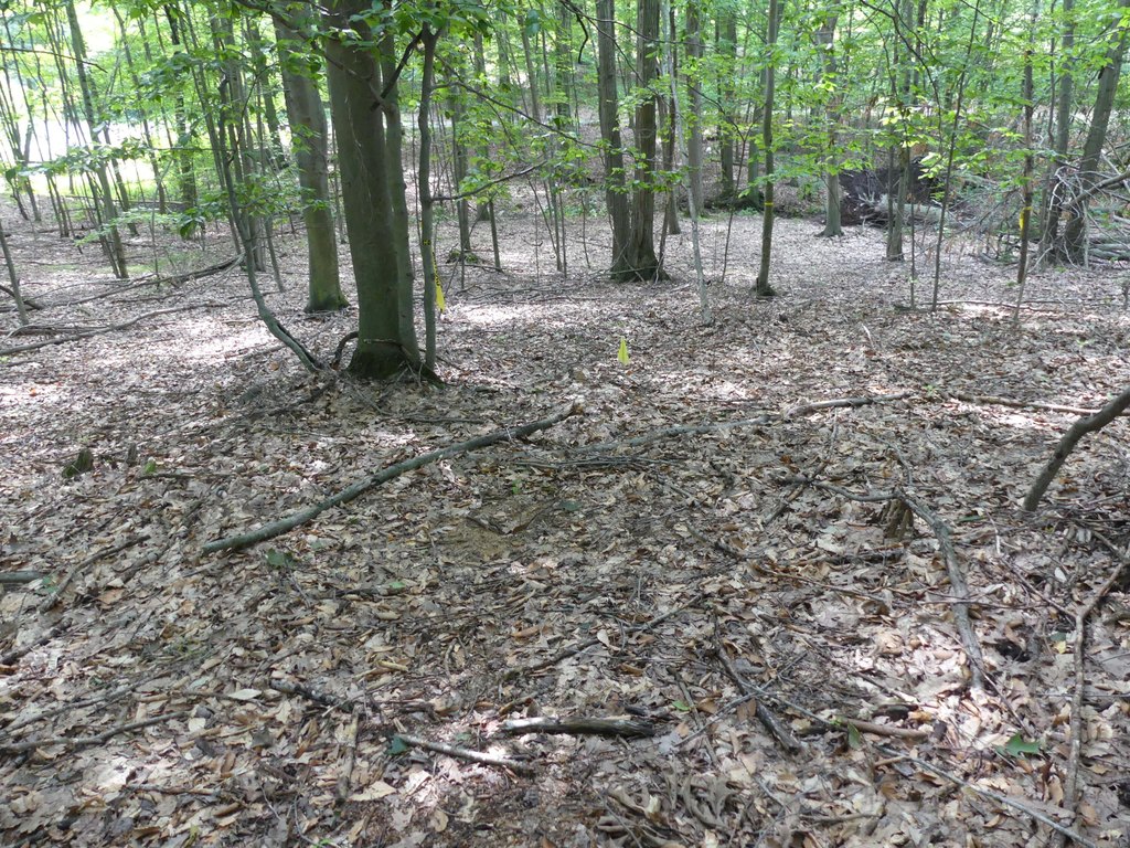 Picture 5