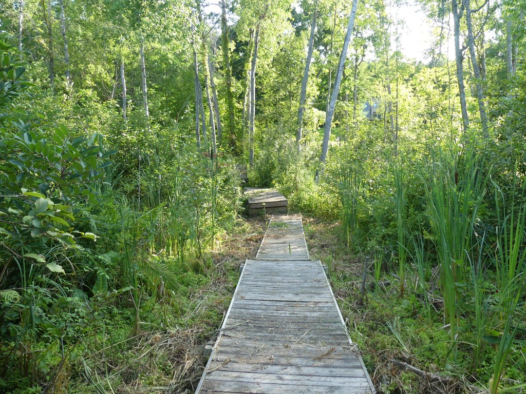 Picture 8
