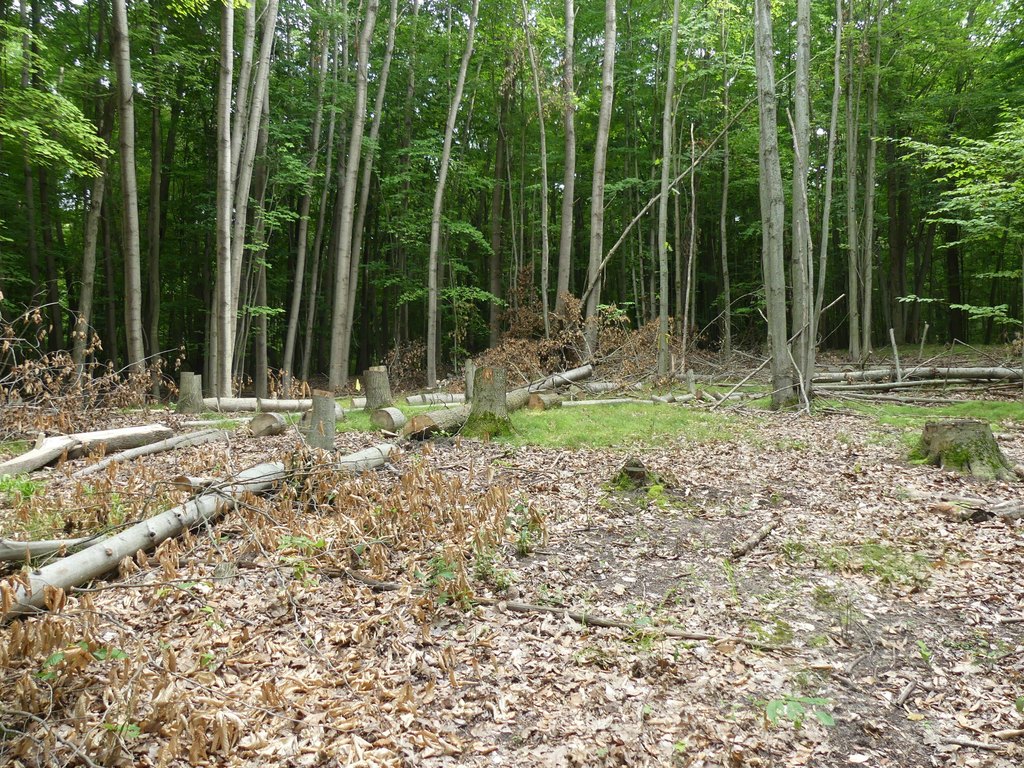 Picture 3