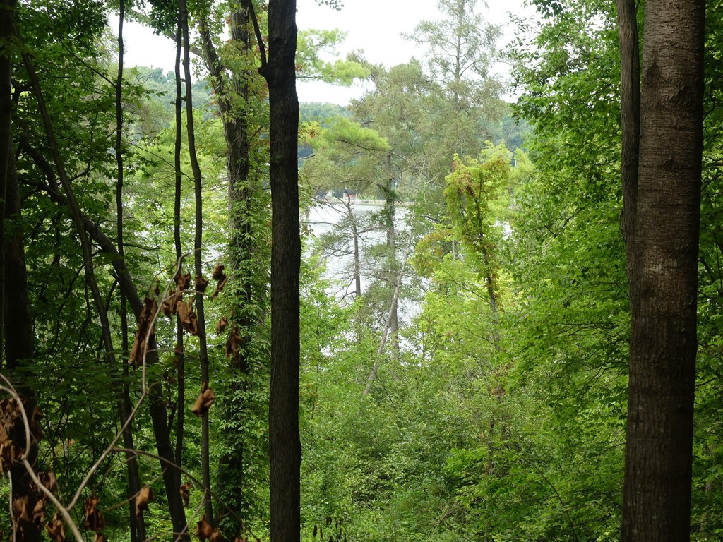 Picture 4