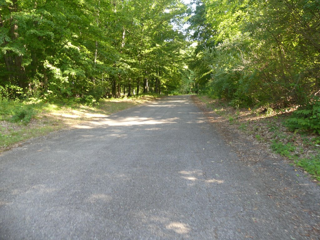Picture 9