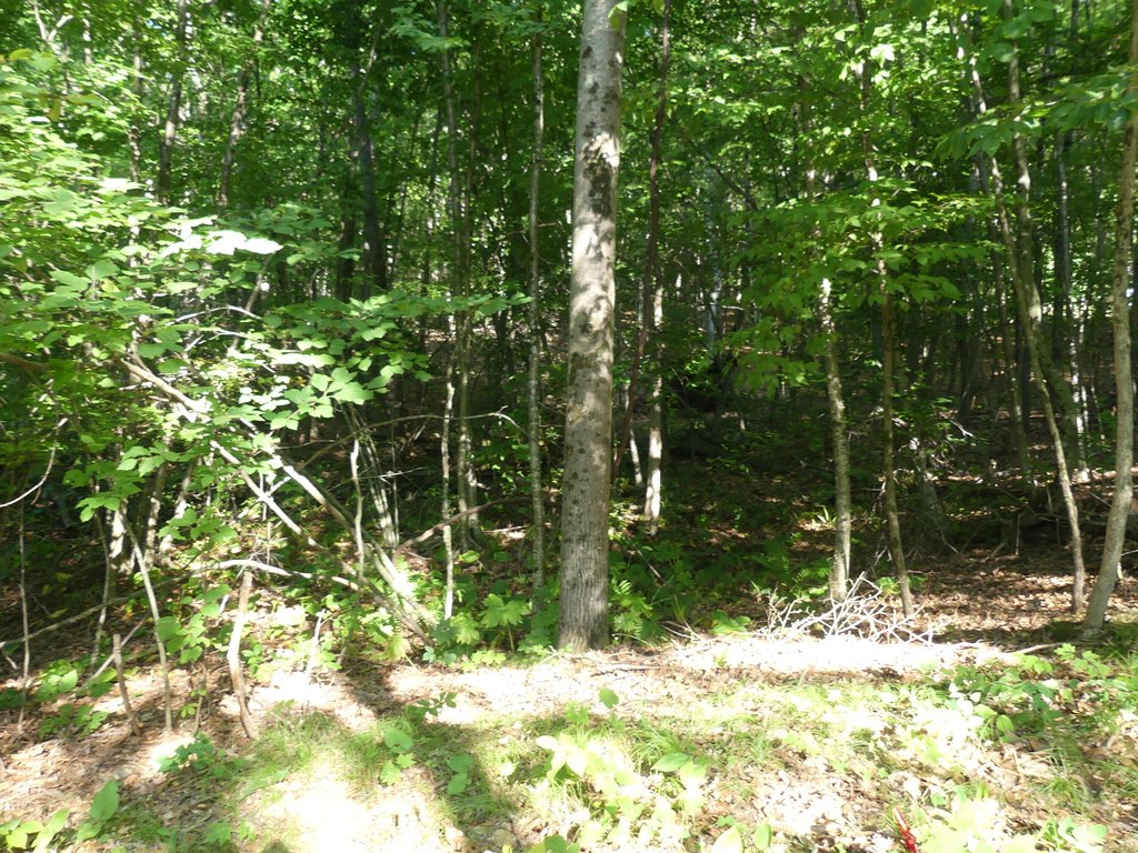 Picture 6