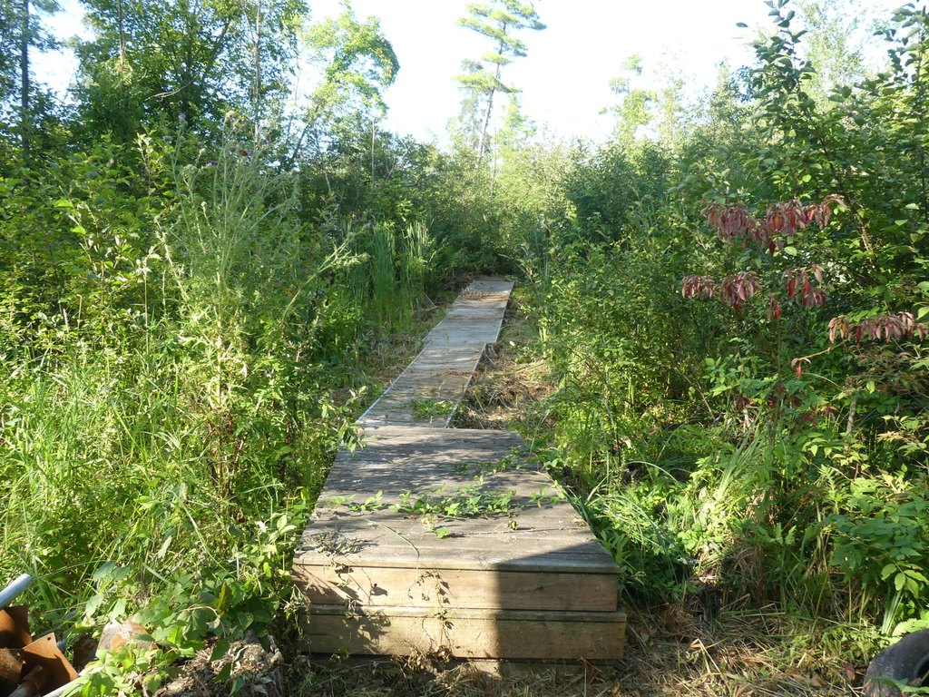 Picture 7