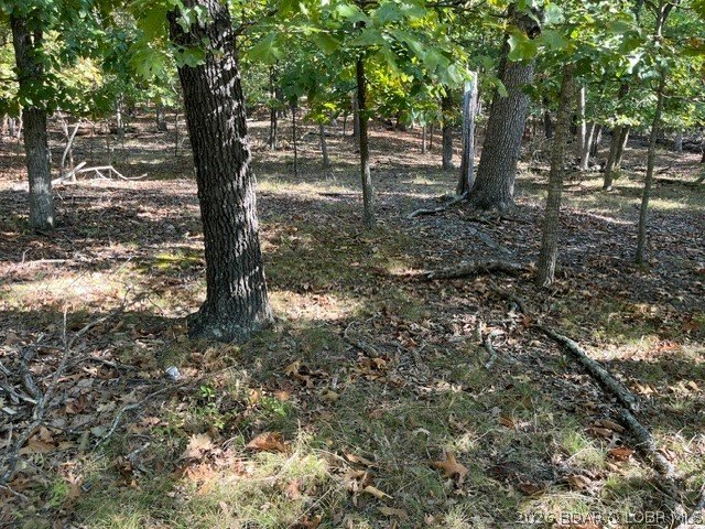 Picture 3