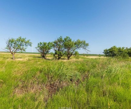 10 Acres in Fluvanna, TX