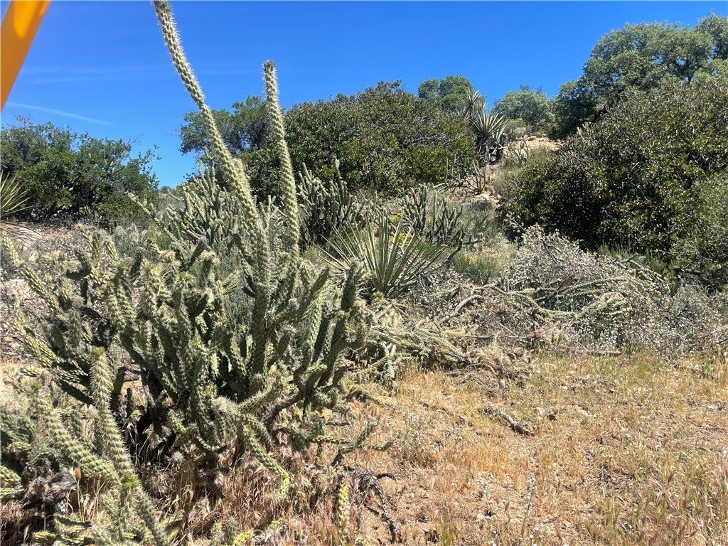 Picture 19