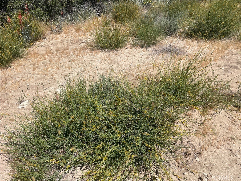 Picture 25