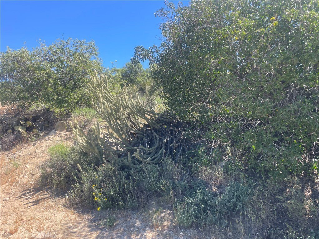 Picture 24