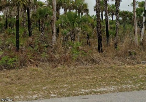 Land, Naples, FL