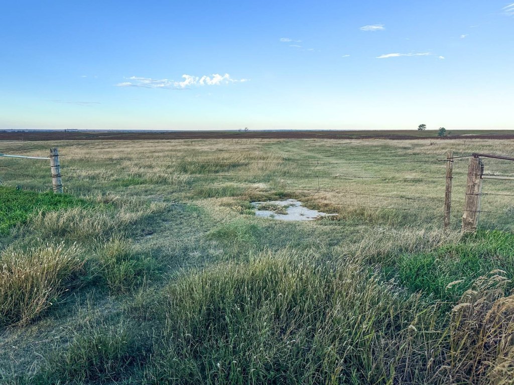 Picture 48