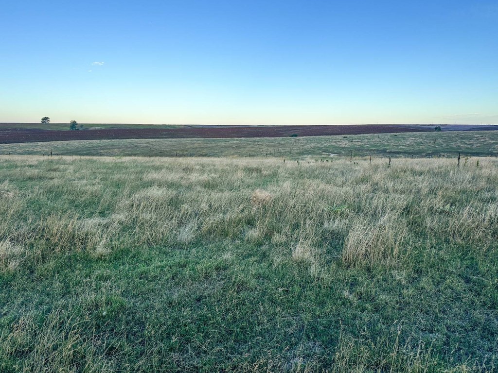 Picture 43