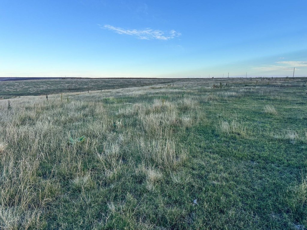 Picture 52
