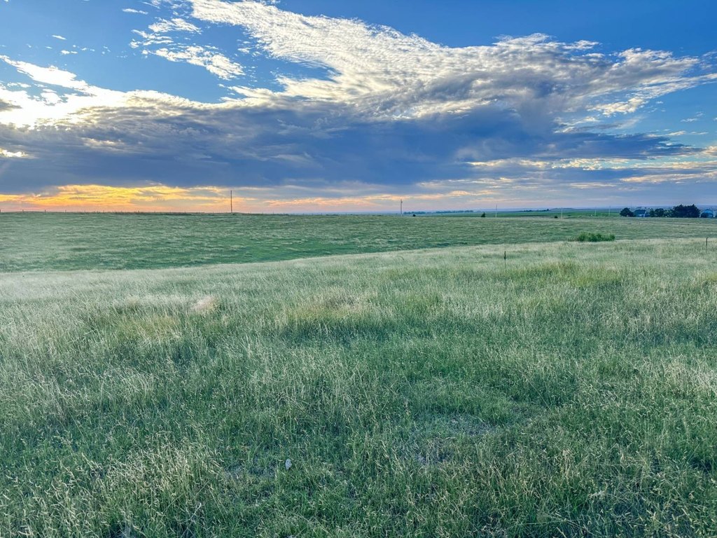 Picture 41