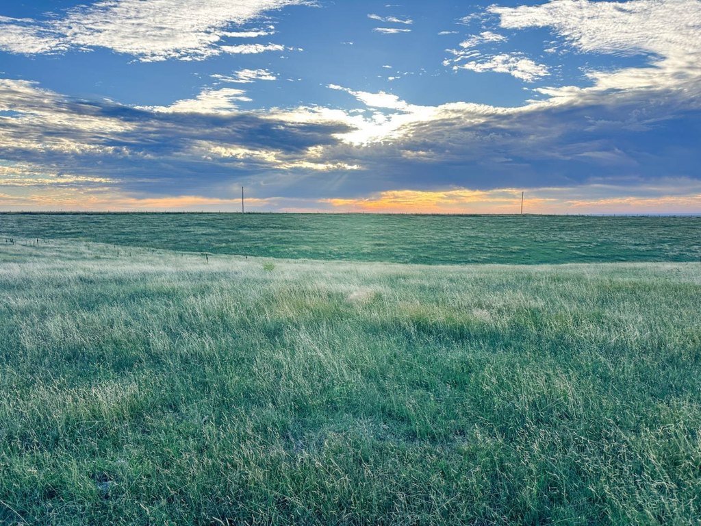 Picture 42