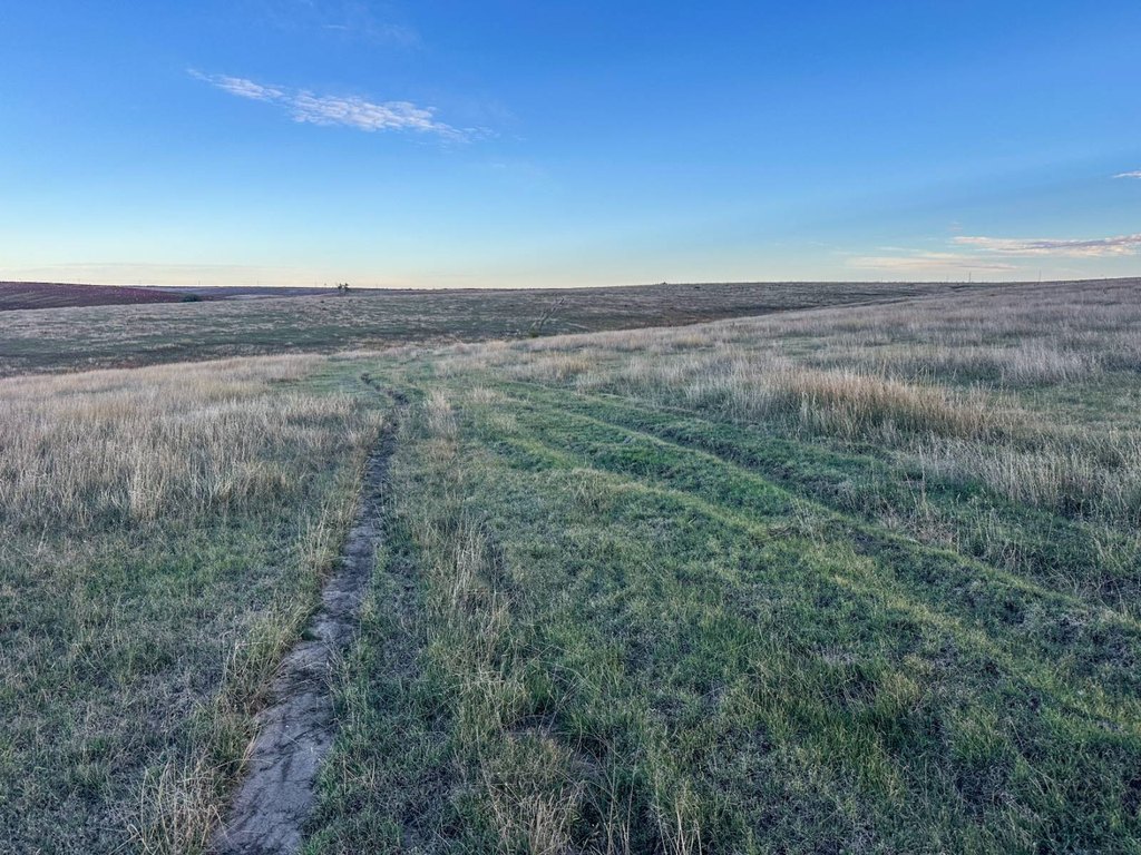 Picture 45