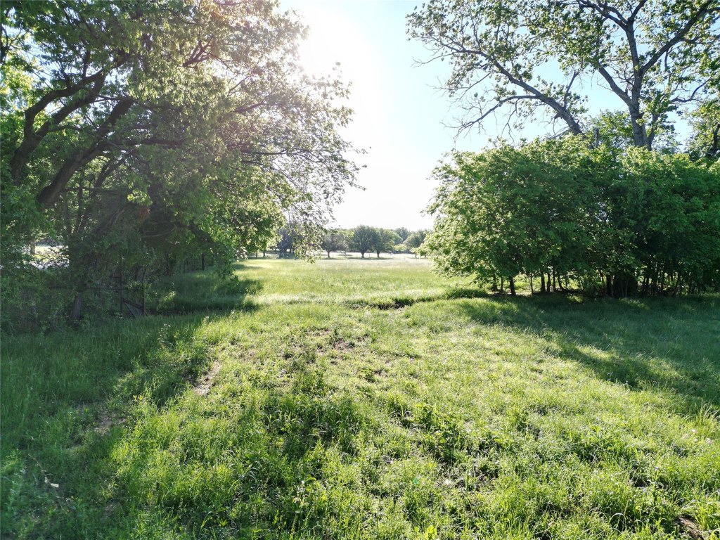 Picture 25