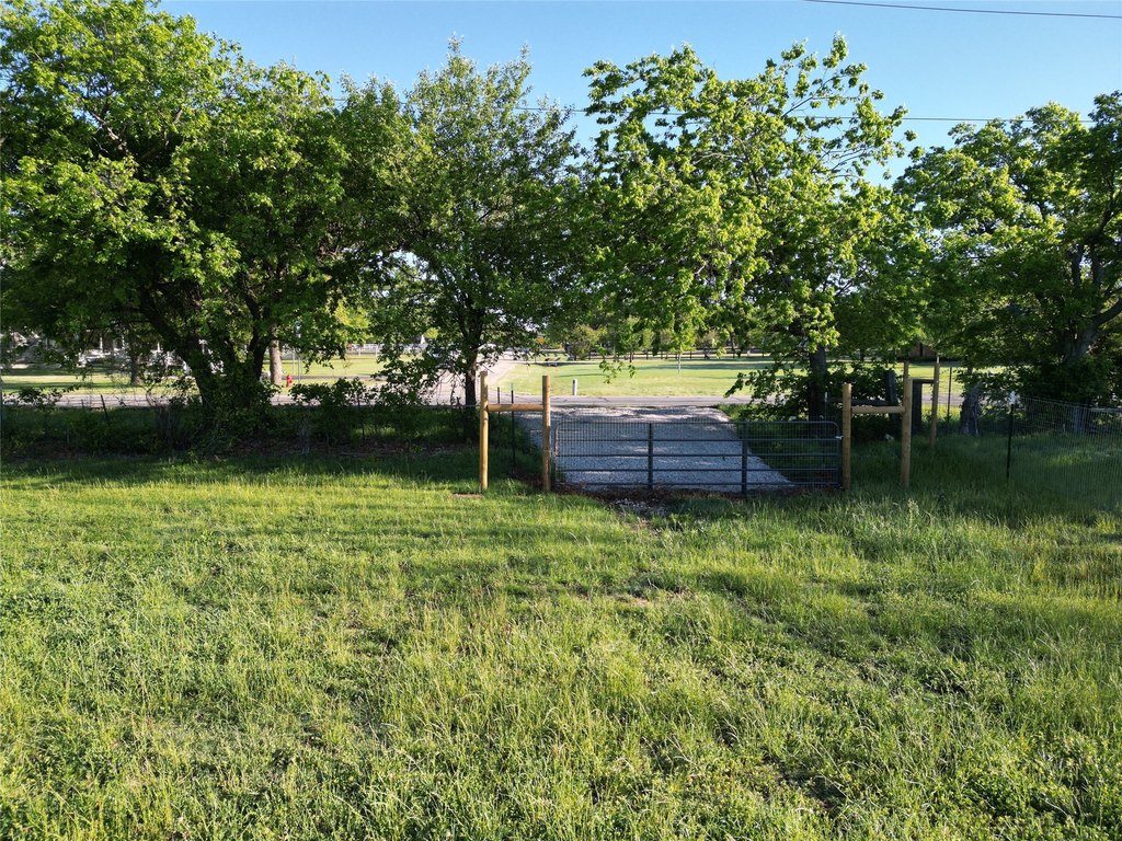 Picture 20