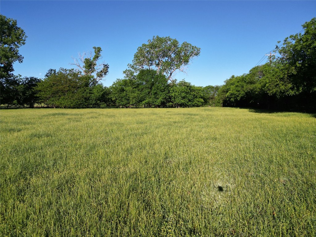 Picture 23