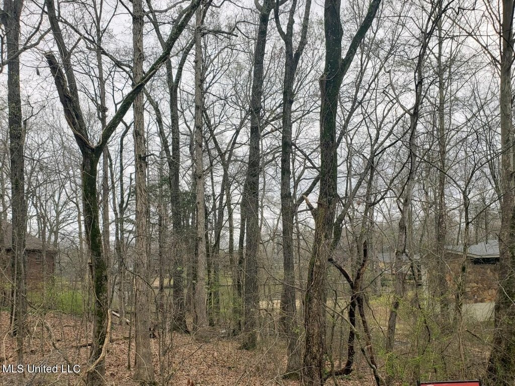 Picture 2