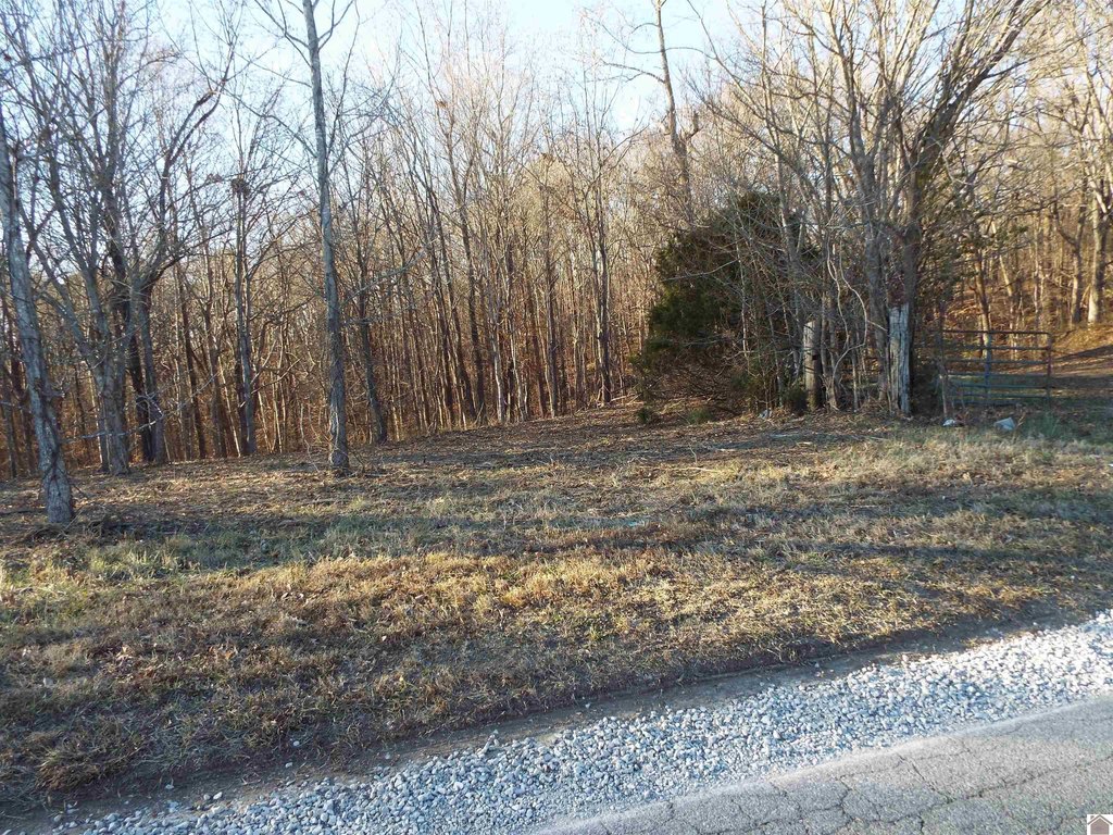 Picture 5