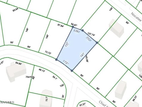 Buildable Lot in Lake Tansi