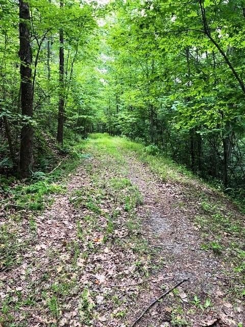 Lake Adger Acreage Opportunity