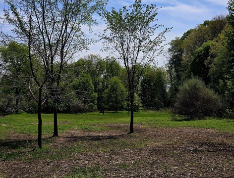 Cleared Acre Lot in White Cloud