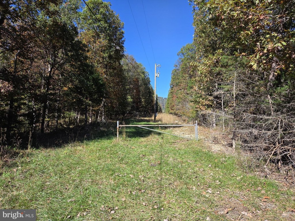 Picture 16